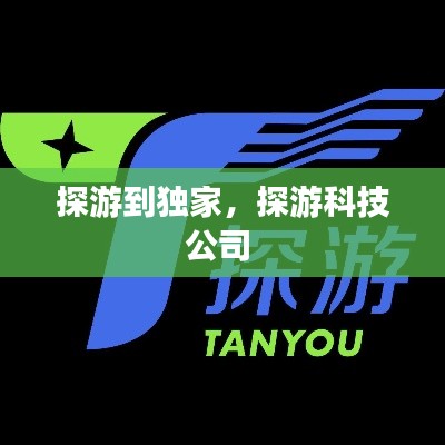 探游到独家,探游科技公司