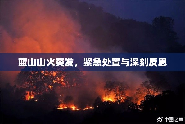 蓝山山火突发,紧急处置与深刻反思