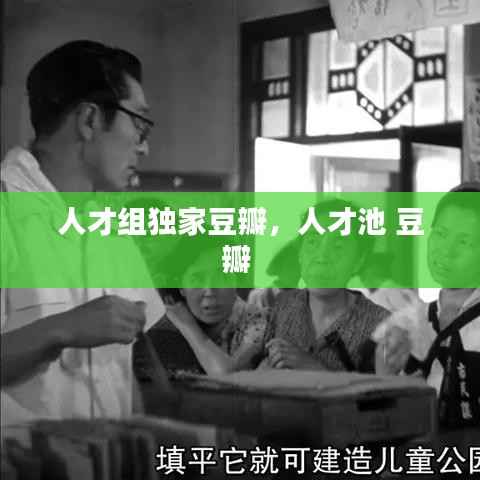 人才组独家豆瓣,人才池 豆瓣