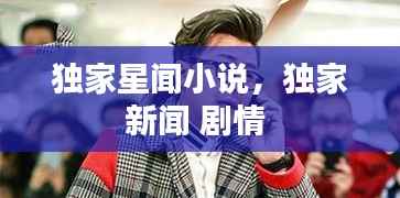 独家星闻小说,独家新闻 剧情