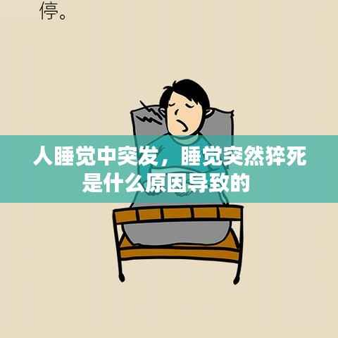 人睡觉中突发,睡觉突然猝死是什么原因导致的