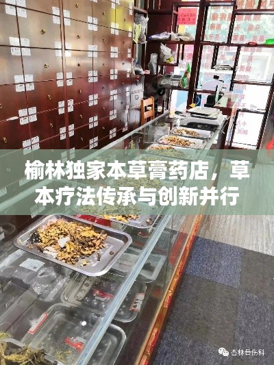 榆林独家本草膏药店,草本疗法传承与创新并行