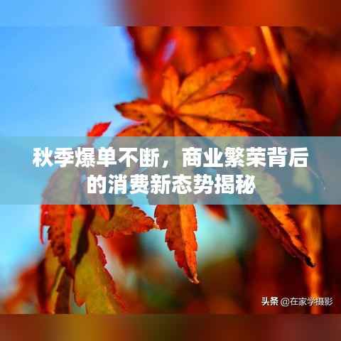秋季爆单不断,商业繁荣背后的消费新态势揭秘