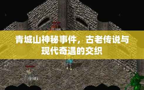青城山神秘事件,古老传说与现代奇遇的交织