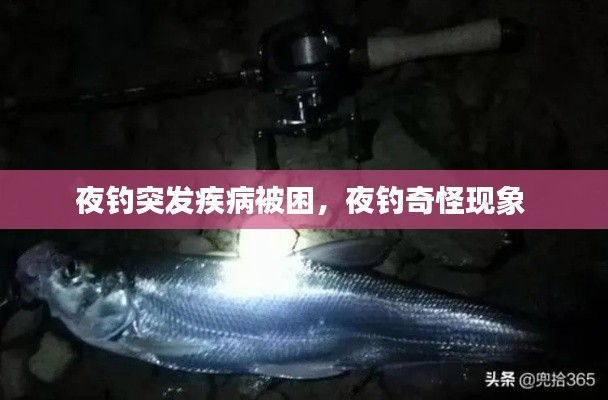 夜钓突发疾病被困,夜钓奇怪现象