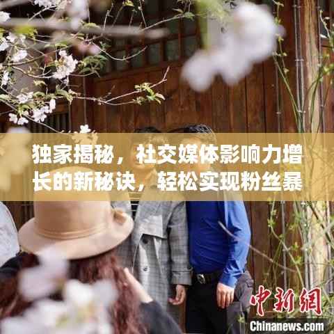 独家揭秘,社交媒体影响力增长的新秘诀,轻松实现粉丝暴涨!