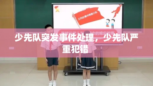 少先队突发事件处理,少先队严重犯错