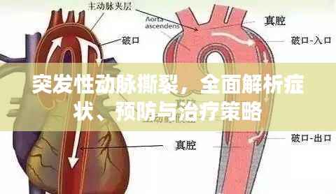 突发性动脉撕裂，全面解析症状、预防与治疗策略