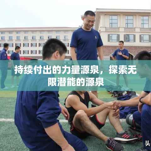 持续付出的力量源泉,探索无限潜能的源泉