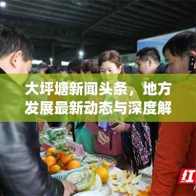 大坪塘新闻头条,地方发展最新动态与深度解读权威指南