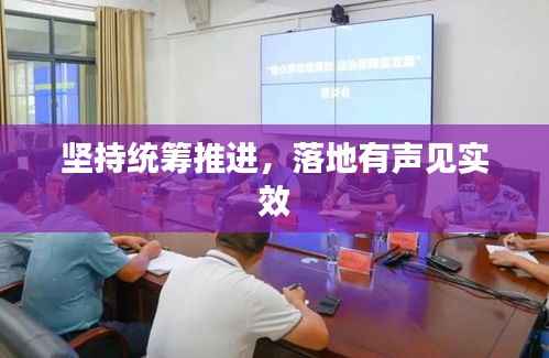 坚持统筹推进,落地有声见实效