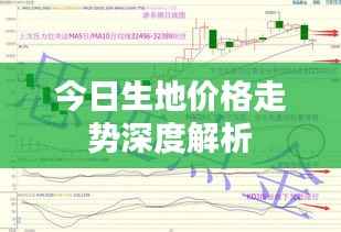 今日生地价格走势深度解析