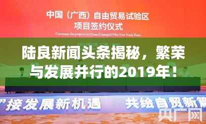 陆良新闻头条揭秘,繁荣与发展并行的2019年!