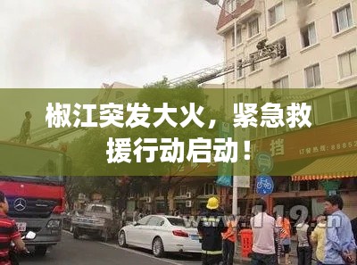椒江突发大火,紧急救援行动启动!