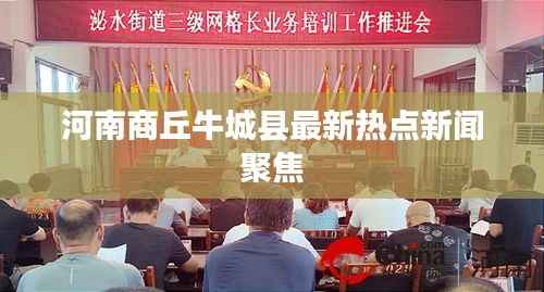 河南商丘牛城县最新热点新闻聚焦