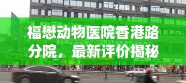 福懋动物医院香港路分院,最新评价揭秘,宠物健康守护者的专业水准!