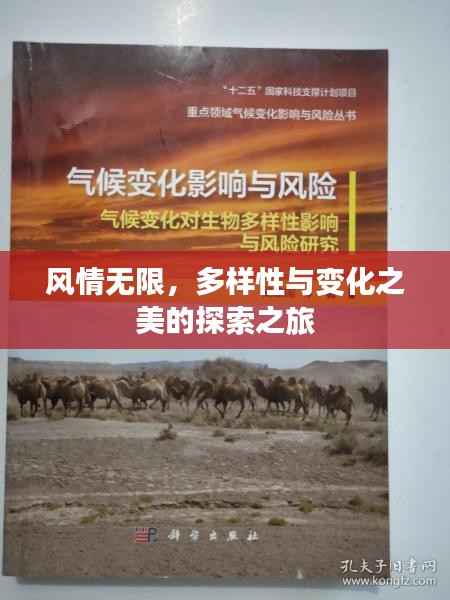 风情无限,多样性与变化之美的探索之旅