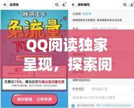 QQ阅读独家呈现,探索阅读的无限魅力与深情
