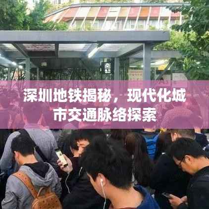深圳地铁揭秘,现代化城市交通脉络探索