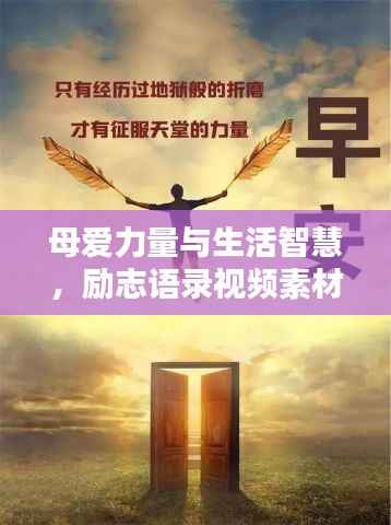 母爱力量与生活智慧,励志语录视频素材分享