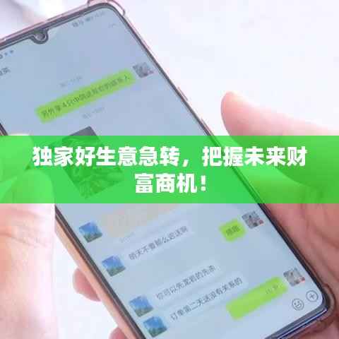 独家好生意急转,把握未来财富商机!
