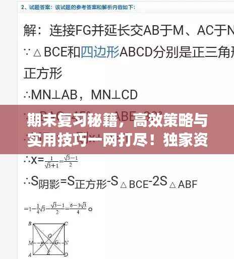 期末复习秘籍，高效策略与实用技巧一网打尽！独家资料助你冲刺备考！