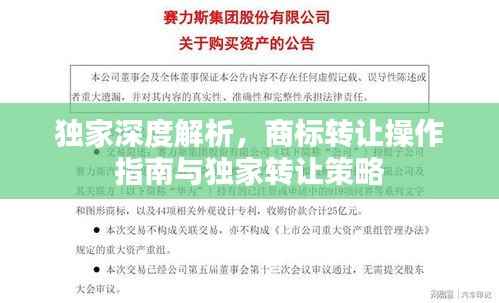独家深度解析,商标转让操作指南与独家转让策略