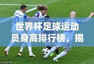 世界杯足球运动员身高排行榜,揭秘球员身高趋势与影响探究