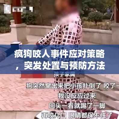 疯狗咬人事件应对策略,突发处置与预防方法