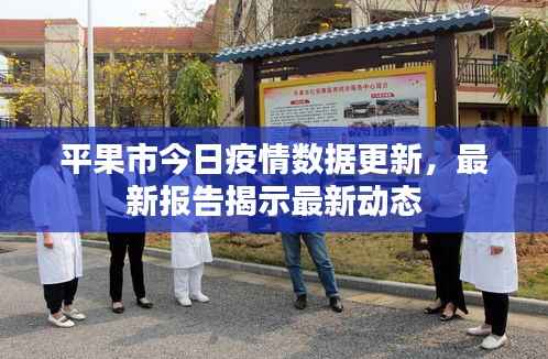 平果市今日疫情数据更新,最新报告揭示最新动态