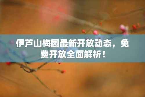 伊芦山梅园最新开放动态,免费开放全面解析!