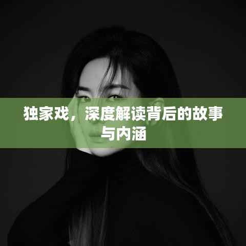 独家戏,深度解读背后的故事与内涵