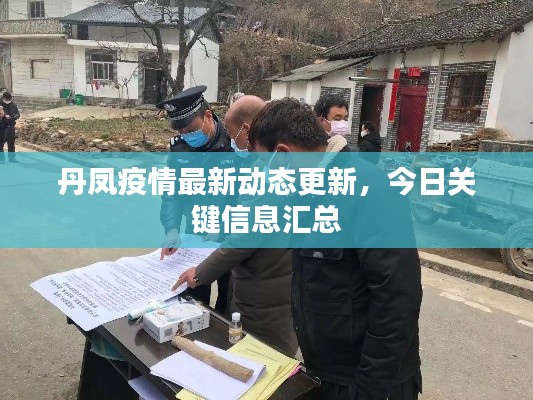 丹凤疫情最新动态更新,今日关键信息汇总