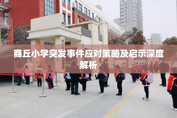 商丘小学突发事件应对策略及启示深度解析