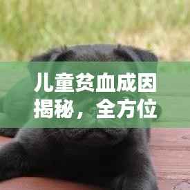 儿童贫血成因揭秘,全方位关注与深入了解