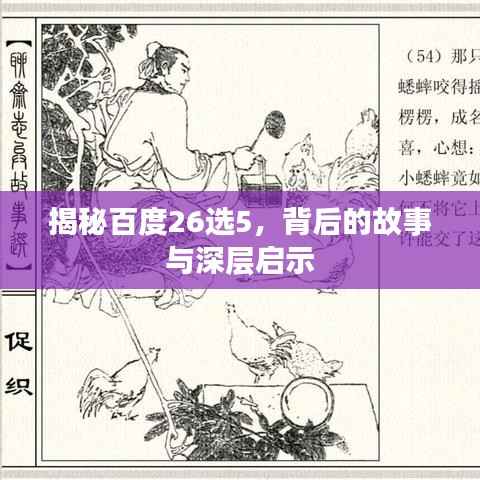 揭秘百度26选5,背后的故事与深层启示