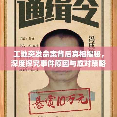 工地突发命案背后真相揭秘,深度探究事件原因与应对策略