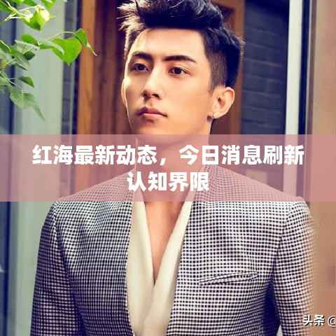 红海最新动态,今日消息刷新认知界限