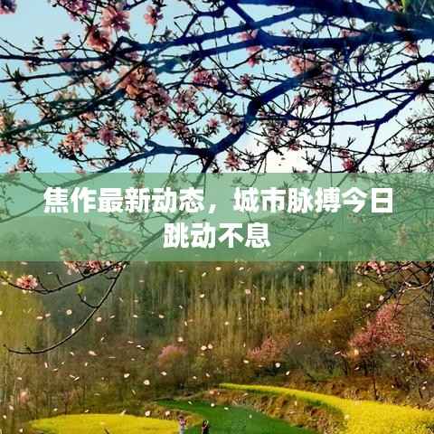 焦作最新动态,城市脉搏今日跳动不息