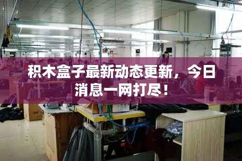 积木盒子最新动态更新，今日消息一网打尽！