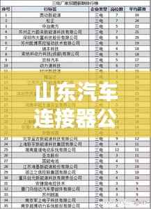 山东汽车连接器公司排名揭晓,领先企业榜单