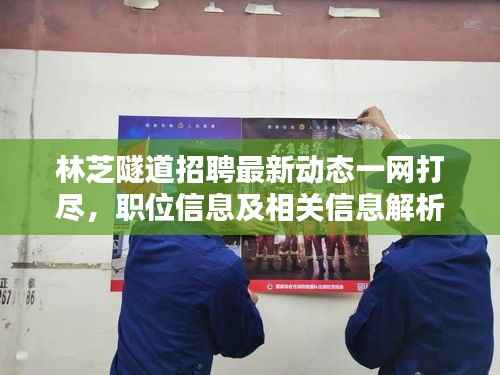 林芝隧道招聘最新动态一网打尽,职位信息及相关信息解析