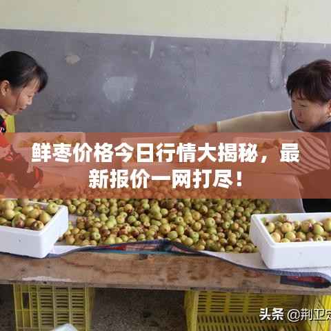 鲜枣价格今日行情大揭秘，最新报价一网打尽！