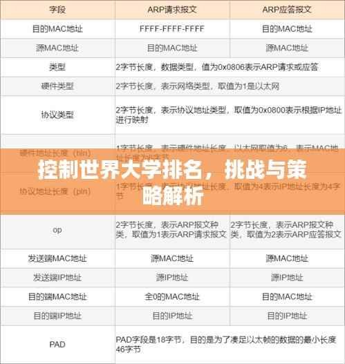 控制世界大学排名，挑战与策略解析