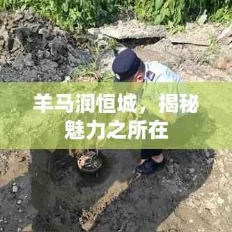 羊马润恒城，揭秘魅力之所在