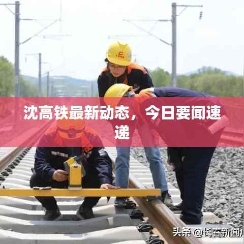 沈高铁最新动态,今日要闻速递