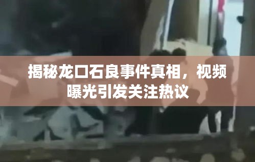 揭秘龙口石良事件真相,视频曝光引发关注热议