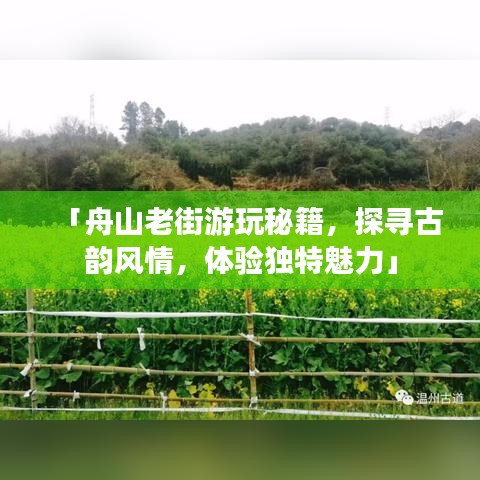 「舟山老街游玩秘籍,探寻古韵风情,体验独特魅力」