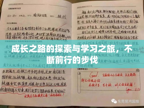 成长之路的探索与学习之旅，不断前行的步伐