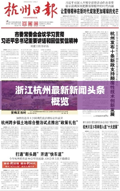 浙江杭州最新新闻头条概览